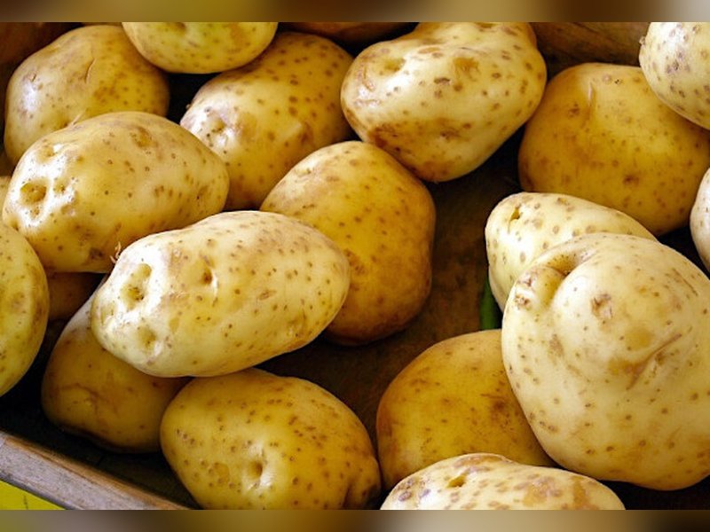 Картофель Гала