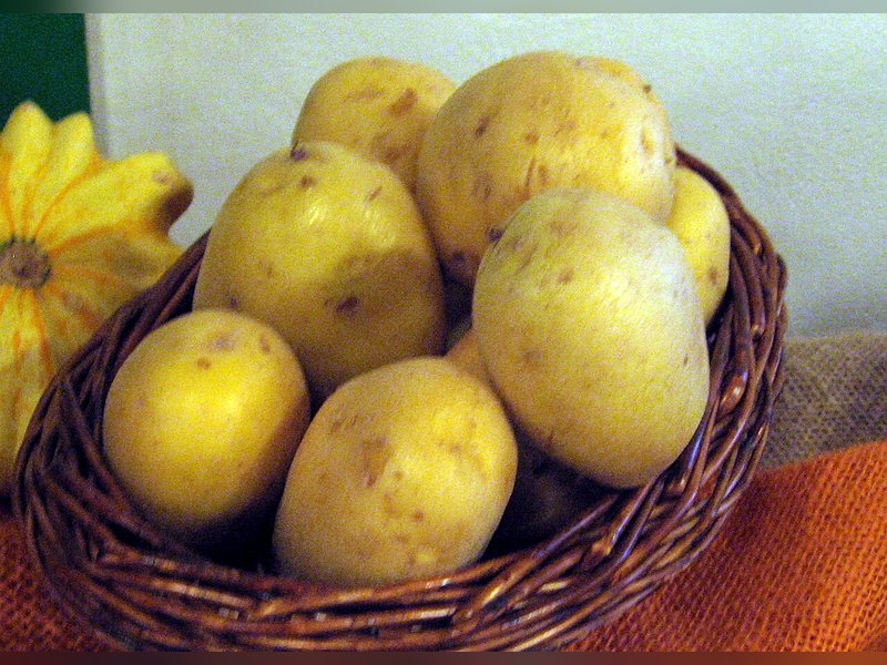 Ласунок