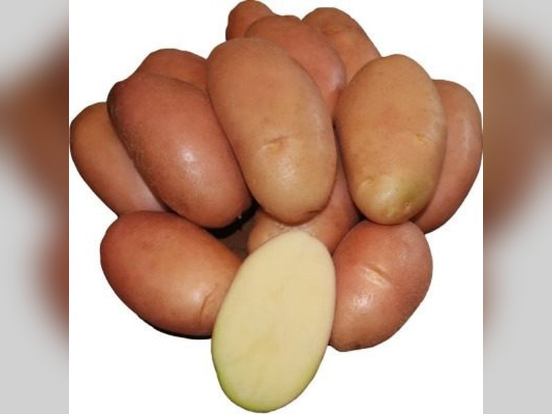 Накра
