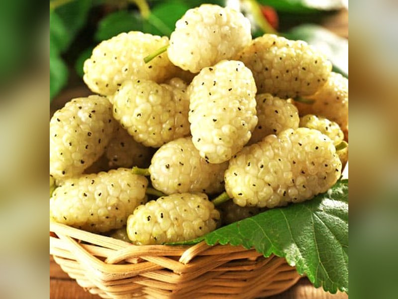 Белая медовая